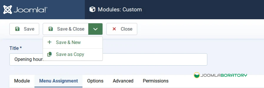 Module Custom Option Save